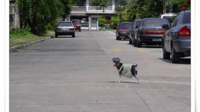 pic39a