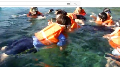 킴스하우스 2014년 겨울연수 동영상 01