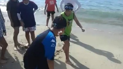2012년 여름방학 연수 동영상 모음 14